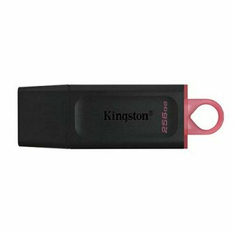 USB stick Kingston DTX/256GB Zwart 256 GB 1
