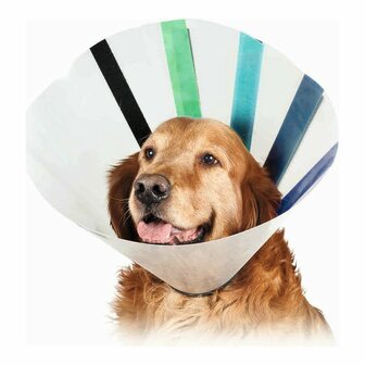 Lampenkap voor honden KVP EZ Clear (39-51 cm) 1