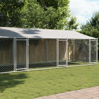 Hondenhok met dak en deuren 8x2x2 m gegalvaniseerd staal grijs 1