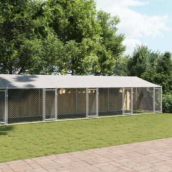 Hondenhok met dak en deuren 10x2x2 m gegalvaniseerd staal grijs 3