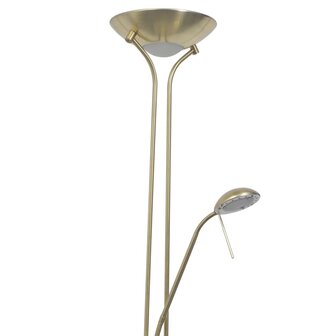 Vloerlamp LED dimbaar 23 W 4