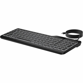 Toetsenbord en muis HP 405 Zwart Qwerty US 6