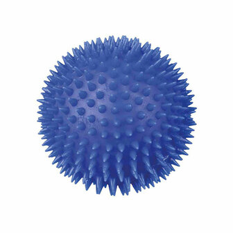 Hondenspeelgoed Trixie &Oslash; 10 cm 3