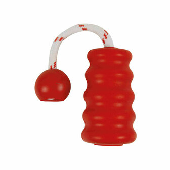 Hondenspeelgoed Trixie 22 cm 3