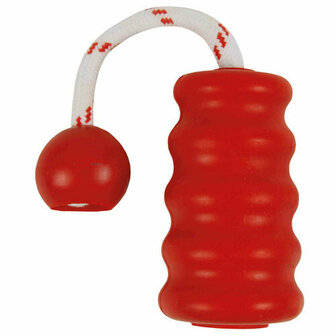 Hondenspeelgoed Trixie 22 cm 4