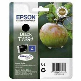 Originele inktcartridge Epson T0801 Zwart 1