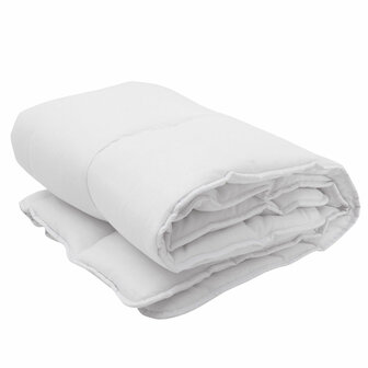 Dekbed HappyFriday Basic Wit 450 g/m&sup2; 200 x 200 cm 1