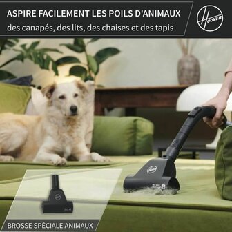 Stofzuiger Hoover HE120PET 011 Zwart Grijs 700 W 6