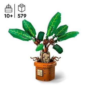 Bouwspel Lego Harry Potter Multicolour 2