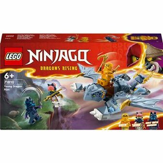 Bouwspel Lego NINJAGO 71810 The Young Dragon Riyu Multicolour 1