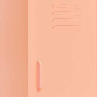 Opbergkast 42,5x35x101,5 cm staal roze 7