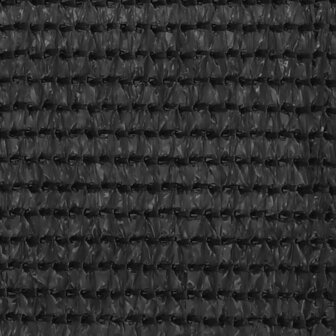 Balkonscherm 75x300 cm HDPE antracietkleurig 3