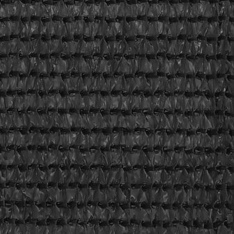 Balkonscherm 120x300 cm HDPE antracietkleurig 2