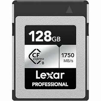 Hard Drive Lexar Professional Silver Plus 1