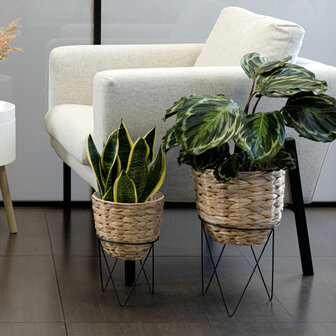 Bloempot met standaard Vinthera Moa Beige Metaal Waterhyacint 20 x 30 cm 25 x 40 cm 2 Onderdelen 4