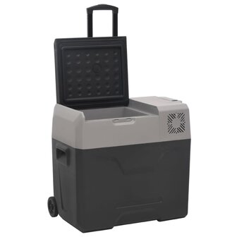 Koelbox met wielen en adapter 30 L polypropeen zwart en grijs 3