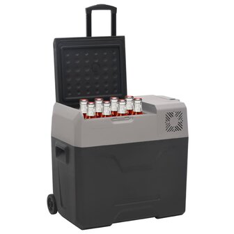 Koelbox met wielen en adapter 40 L polypropeen zwart en grijs 2