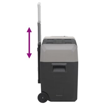 Koelbox met wielen en adapter 40 L polypropeen zwart en grijs 8