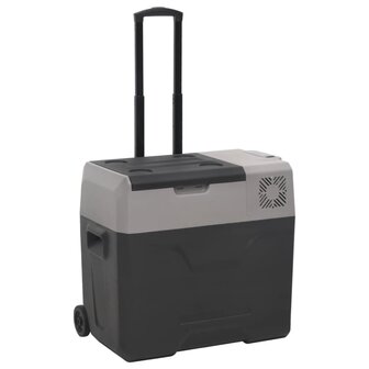 Koelbox met wielen en handvat 40 L polypropeen zwart en grijs 1