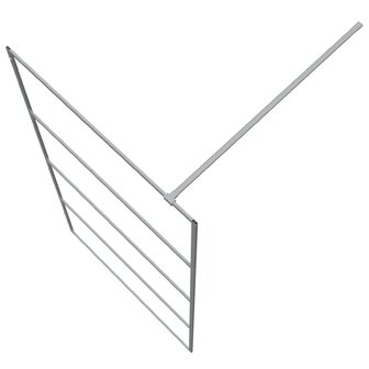 Inloopdouchewand 100x195 cm transparant ESG-glas zilverkleurig 5