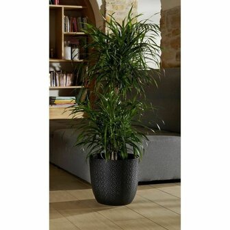 Bloempot EDA Opal Chape Zwart &Oslash; 29,5 cm 2