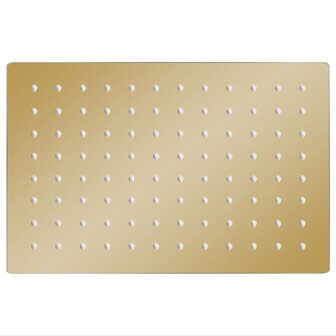 Regendouchekop rechthoekig 30x20 cm roestvrij staal goudkleurig 2