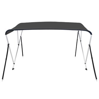 Biminitop 3-boogs 183x140x137 cm antracietkleurig 3