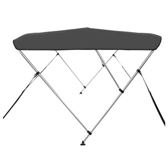 Biminitop 3-boogs 183x160x137 cm antracietkleurig 4