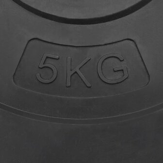 Halterschijven 4 st 30 kg beton 7