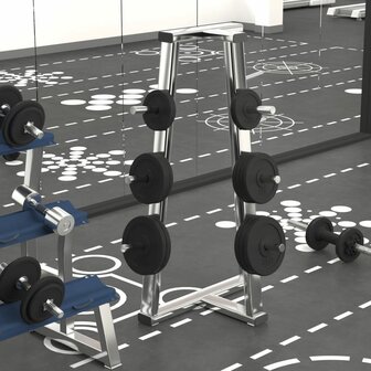 Halterschijven 6 st 30 kg gietijzer 1