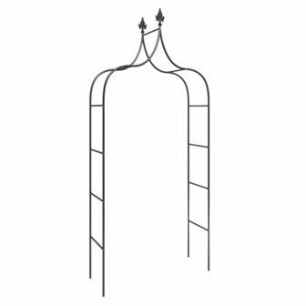 Tuinbogen 2 st 120x38x260 cm staal zwart 3