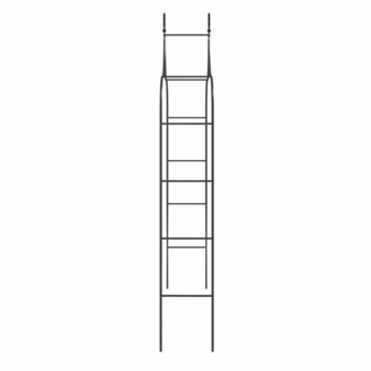 Tuinbogen 2 st 120x38x260 cm staal zwart 5