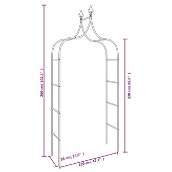 Tuinbogen 2 st 120x38x260 cm staal zwart 7
