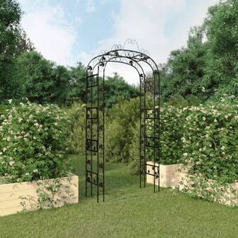 Tuinboog 116x45x240 cm staal zwart 1