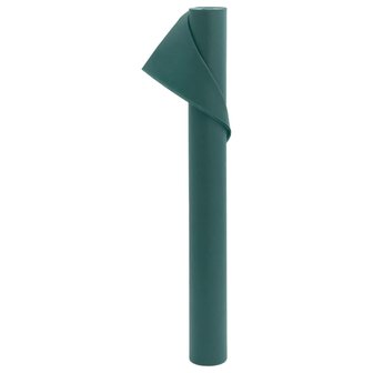 Vliesdoek voor planten 2 rollen 70 g/m&sup2; 10x1,6 m 3