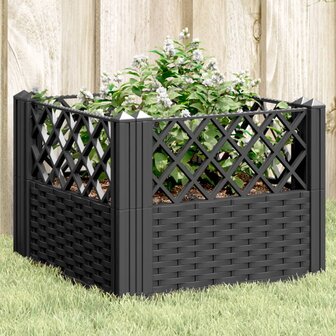 Plantenbak met pinnen 43,5x43,5x43,5 cm polypropeen zwart 1