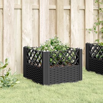 Plantenbak met pinnen 43,5x43,5x43,5 cm polypropeen zwart 3