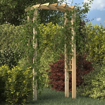 Tuinboog 110x60x210 cm ge&iuml;mpregneerd massief grenenhout 1