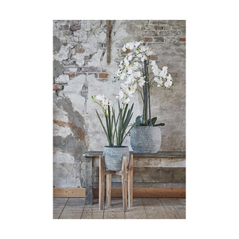 Bloempotstandaard Mica Decorations Ascot Bloempotstandaard Hout 48 x 33 x 33 cm 5