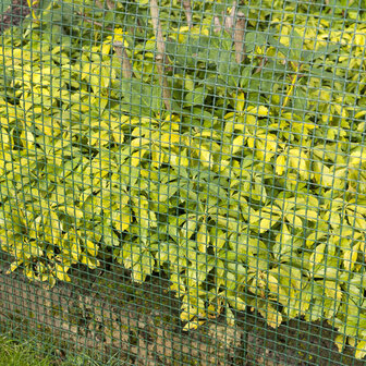 Nature Tuinscherm vierkant gaas 5x5 mm 1x3 m groen 3