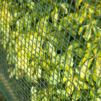Nature Tuinscherm vierkant gaas 5x5 mm 1x3 m groen 4
