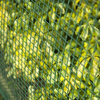 Nature Tuinscherm vierkant gaas 20x20 mm 1x3 m groen 3