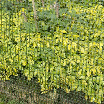 Nature Tuinscherm vierkant gaas 20x20 mm 1x3 m groen 4