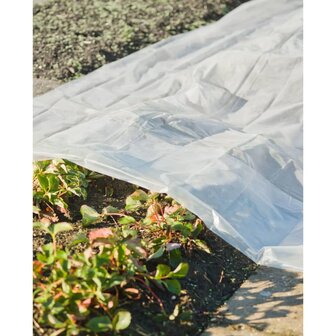 Nature Plantenhoes 4x6 m 200&micro; transparant 3