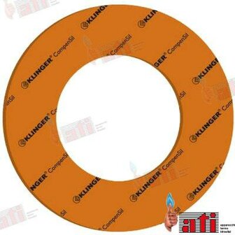 Calentadores de agua y accesorios GS50414 - JUNTA ROJA DIA 55x42 mm - sp. 2 1