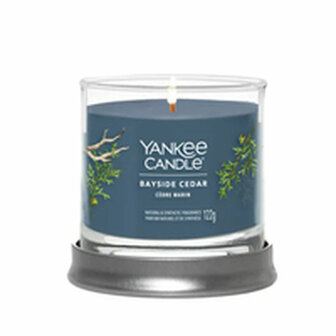 Geurkaars Yankee Candle Bayside Cedar 122 ml 4