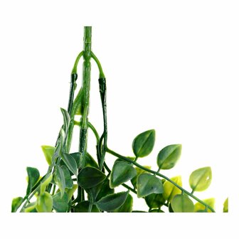 Decoratieve plant DKD Home Decor Groen Polyethyleen Ijzer (18 x 18 x 101 cm) 3