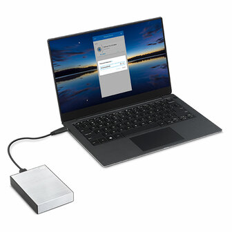Externe Harde Schijf Seagate STKY1000401 Zilverkleurig 1 TB HDD 8