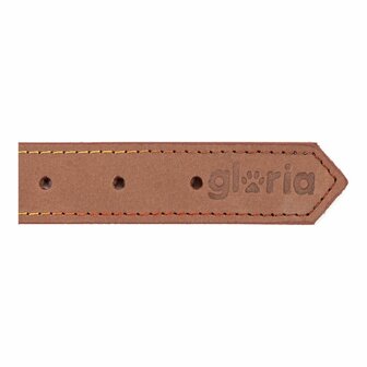 Hondenhalsband Gloria Oasis Bruin (1,2 x 35 cm) 6