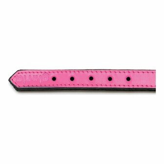 Hondenhalsband Gloria Gestoffeerd Fuchsia (40 cm) (40 x 2 cm) 7